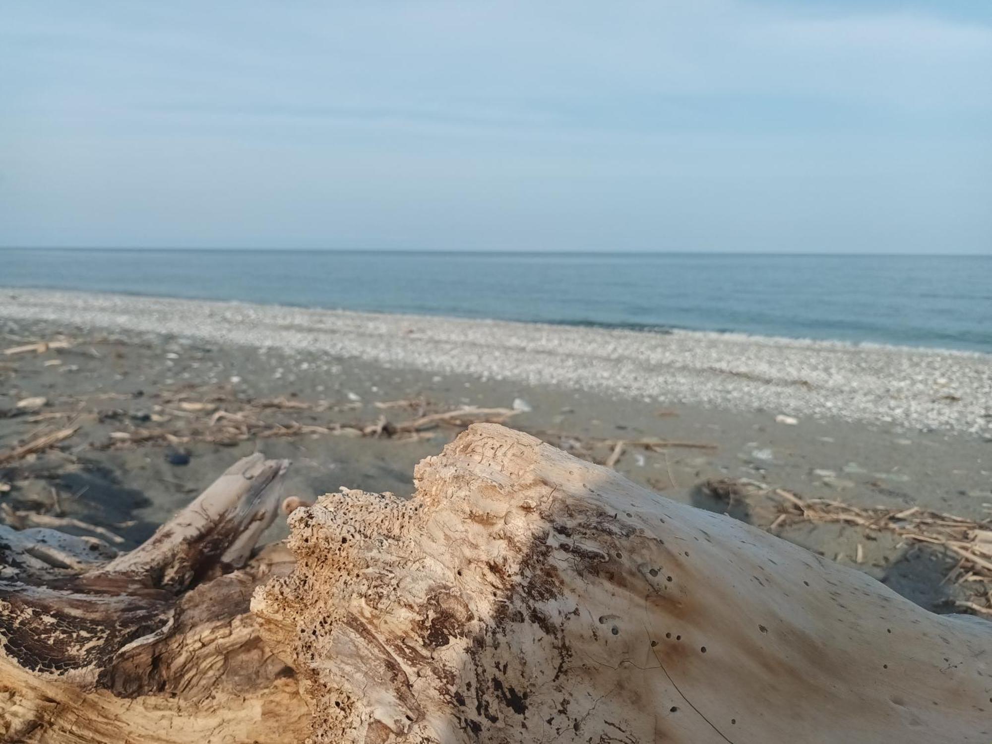 Velika Beach Rooms Ngoại thất bức ảnh
